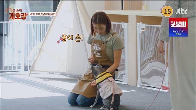 사진=JTBC ‘집 나가면 개호강’