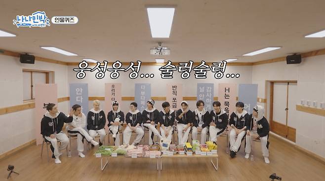 사진=tvN '나나민박'