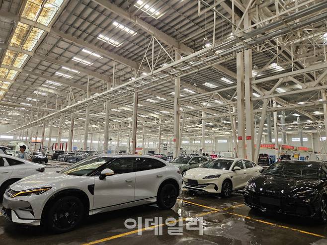 중국 산둥성 지난시의 BYD 공장에 완성된 전기차들이 출고 대기 중이다. (사진=이데일리 이명철 특파원)