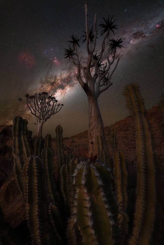 가시와 별빛. /부라크 에센베이/2025 Milky Way Photographer of the Year