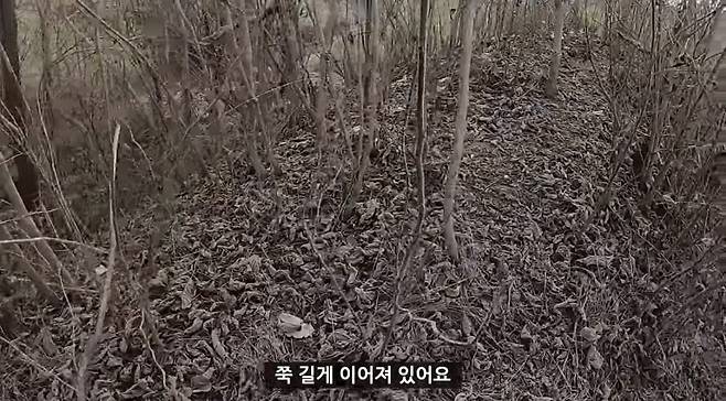 실제 여포 무덤에 찾아가본 유튜버