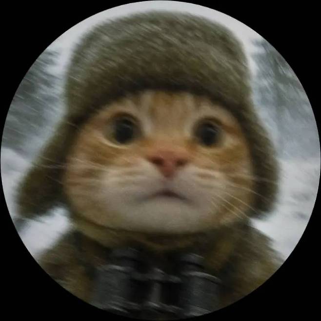 프로필사진으로 쓰기좋은 고양이사진