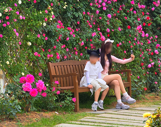에버랜드 로로티를 즐기고 있는 방문객들의 모습 / 사진=김혜성 여행+ 기자