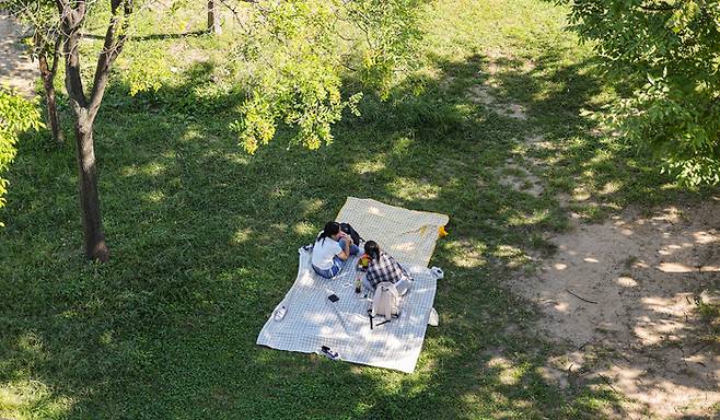 시민들이 서울 영등포구 여의도한강공원에서 주말 나들이를 즐기는 모습. [사진 = 연합뉴스]