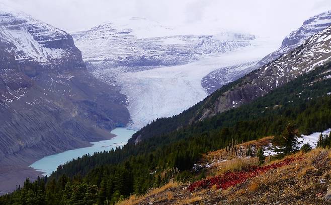 캐나다 로키 파커릿지에서 보는 사스카추완 빙하 [함영훈 기자]