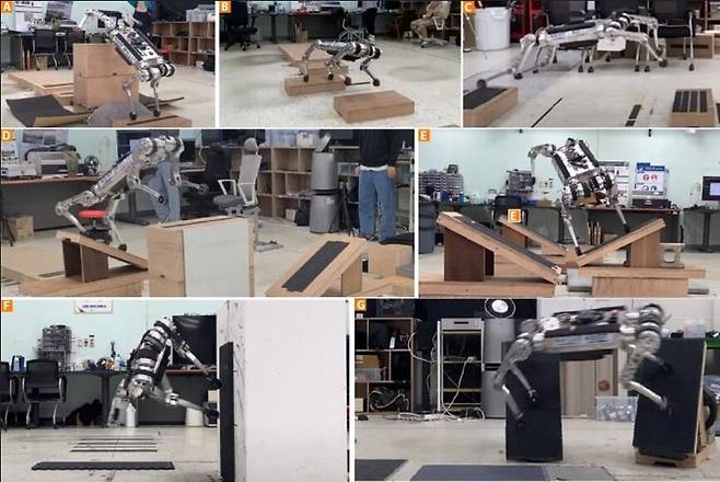 4족 보행로봇 라이보가 계단과 징검다리, 수직 벽 등을 이동하고 있다. 카이스트 제공&nbsp;