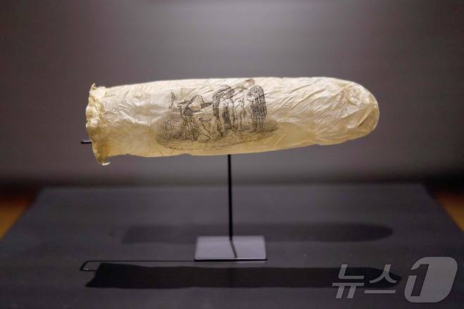 3일(현지시간) 네덜란드 암스테르담의 라익스뮤지엄이 공개한 1830년 제작된 콘돔. 박물관은 양의 맹장 부위로 제작됐고 매춘업소에서 기념품으로 사용된 것으로 추정된다고 설명했다. 이 콘돔은 19세기 매춘과 성애를 주제로 한 전시회에서 전시될 예정이다. 2025.06.03 ⓒ AFP=뉴스1 ⓒ News1 김지완 기자