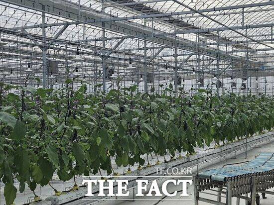 경기 파주시의 '귀농 농업창업 및 주택구입 지원사업'을 통해 조성된 한 가지농장의 모습./파주시