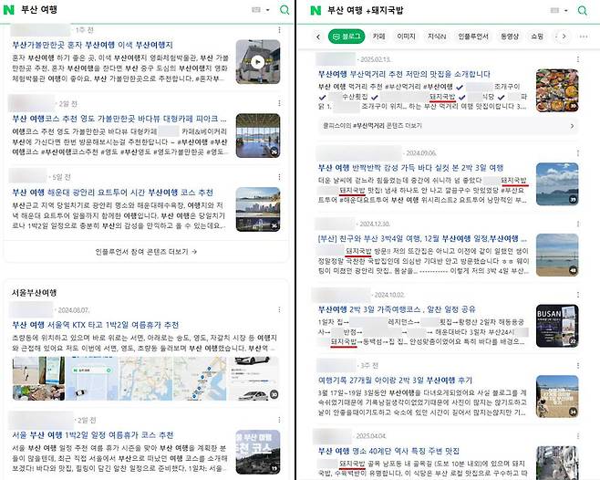 내용에 + 기재 후 단어를 넣어서 검색하면 해당 단어 위주의 검색결과를 제공한다 / 출처=IT동아