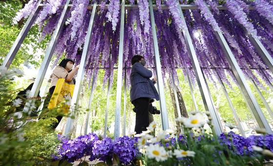 서울 동작구 보라매공원에서 열린 2025 서울국제정원박람회를 찾은 시민들이 등나무 터널을 지나고 있다. [연합뉴스]