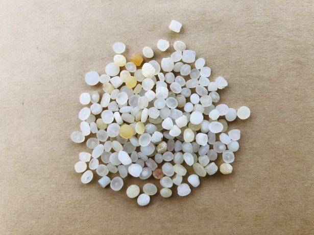 플라스틱 원료가 되는 펠릿. 2020년 여름 제주 바다에서 발견됐다. 출처 에코오롯