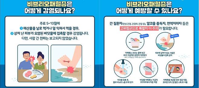 [창녕=뉴시스] 비브리오패혈증 감염경로 및 예방수칙 안내문. (사진= 창녕군 제공) 2025.06.04. photo@newsis.com *재판매 및 DB 금지