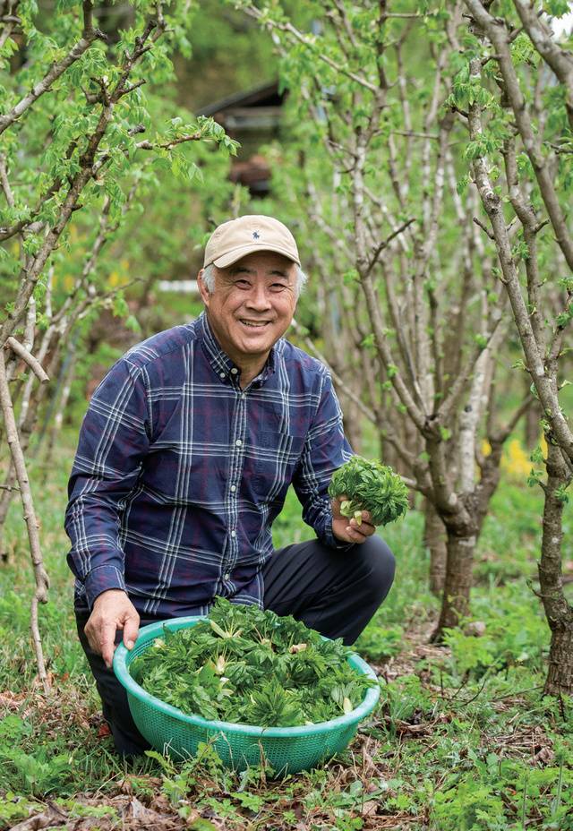 권우태 강릉개두릅생산자협회 대표. 2008년 이장직을 맡으며 자연스레 개두릅 농가들의 참여를 독려해 생산자협회를 조직하고, 지금까지 지역 특산물로 경쟁력을 높이는 일에 앞장서고 있다.