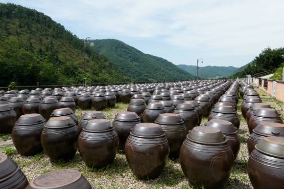 포항에서 전통 방식으로 간장과 된장을 만들고 있는 전통 장 제조업체 죽장연의 장독대 마당 풍경.