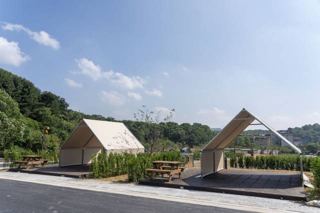 성남 율동공원 오토캠핑장 데크사이트(텐트). 사진 제공 = 성남시