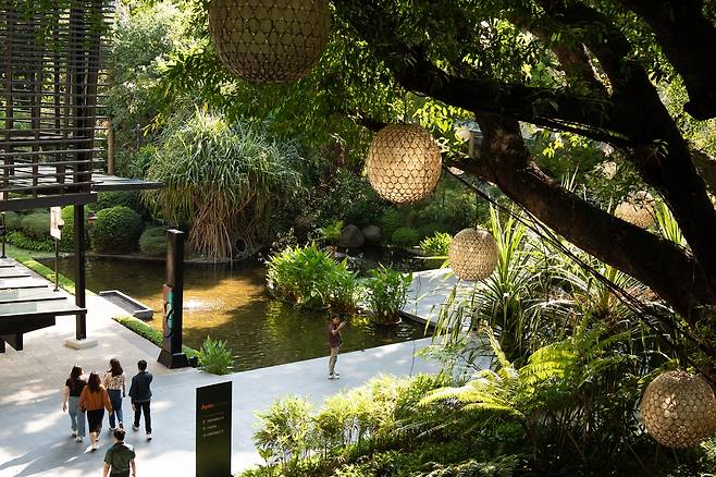 도심의 숲 속 정취를 느낄 수 있는 아얄라 트라이앵글 [사진/성연재 기자]