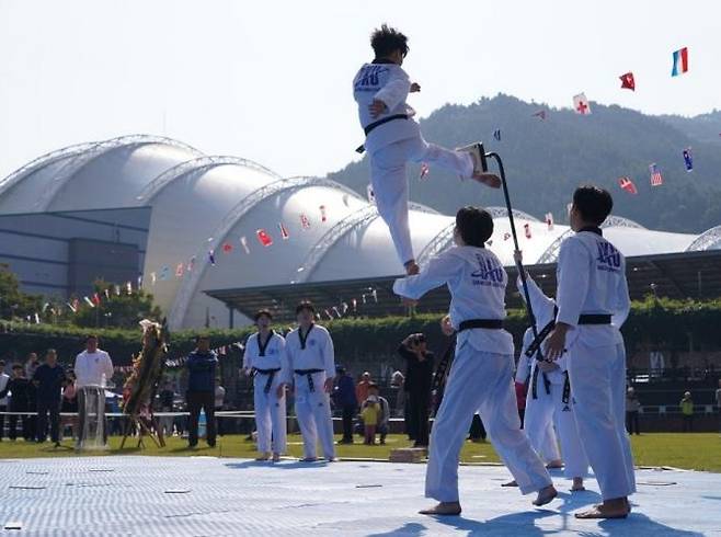 태권도 시범 공연  [태권도진흥재단  제공. 재판매 및 DB 금지]