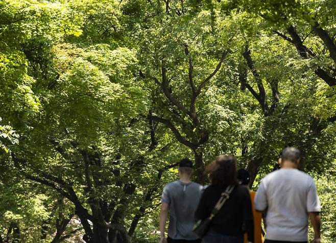 모처럼 미세먼지 좋음을 기록한 4일 서울 남산 전망대 인근 도로의 짙은 신록 아래서 관광객들이 걷고 있다. (사진=연합뉴스)