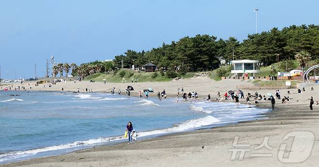 제21대 대통령 선거일인 3일 오후 제주시 이호테우해수욕장에서 나들이객들이 휴일을 즐기고 있다. 2025.6.3/뉴스1 ⓒ News1 오미란 기자