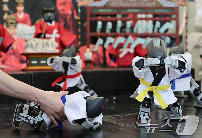 제1회 국악의날인 5일 오후 서울 종로구 광화문광장 특설무대에서 열린 로봇의 태권무 공연 도중 한 로봇이 박자를 맞추지 못하고 넘어지고 있다. 2025.6.5/뉴스1 ⓒ News1 오대일 기자