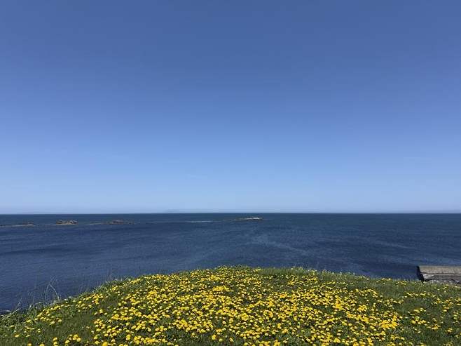 viewimage.php?id=23b2db27ebc637&no=24b0d769e1d32ca73de883fa1bd62531caf022a001a6328b8fcf4dbd347d71c79e5c7b61871f7f21be96f13a4f7f1dde51e9ef36912dfdd8d414e8b7142b6a58b44611