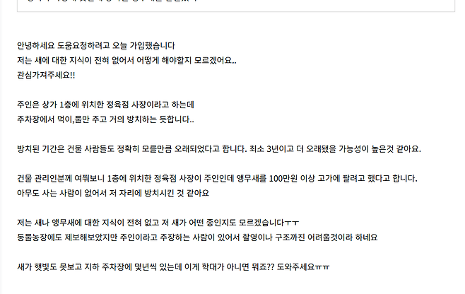 image.png 상가 주차장에 몇년째 방치된 앵무새
