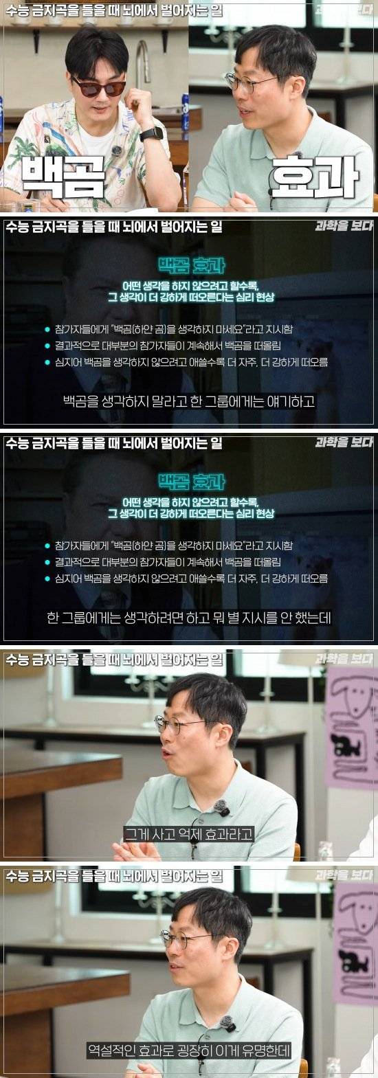 0605213423786623.jpg 백곰 효과.jpg