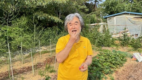 박홍규 교수가 인터뷰 뒤 자택에서 5분 거리인 텃밭에서 직접 기른 딸기를 맛보며 사진을 찍고 있다. 강성만 선임기자