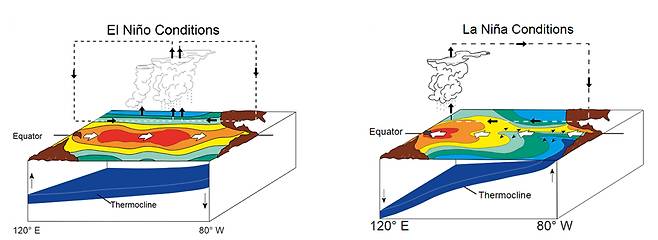 엘니뇨(왼쪽)·라니냐(오른쪽) 시기 대기·해양 상태 자료 : 미국국립해양기상청