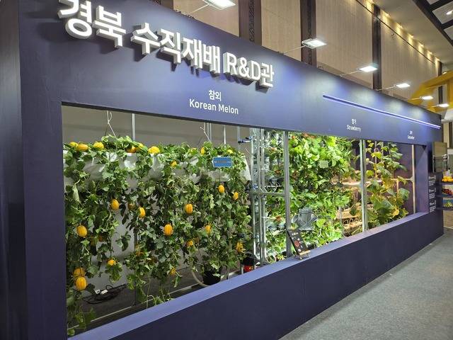 경북 수직재배 연구개발(R&D)관에선 참외 등 땅에 붙어 자라는 작물을 허리를 숙이지 않고 수확하는 방법이 소개됐다.