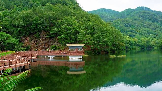 6월 산책은 여기서! 힐링하세요 😍