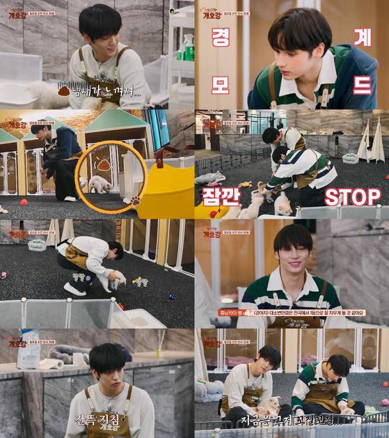 JTBC '집 나가면 개호강' 스틸.