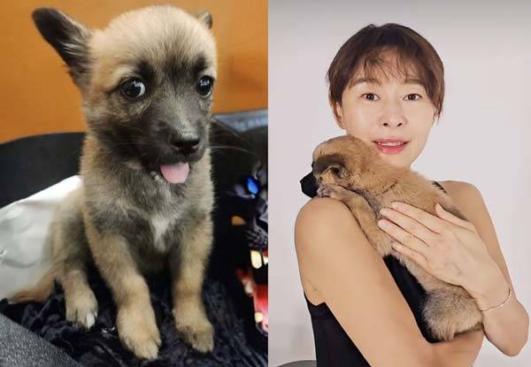 배우 예지원이 산불 현장에서 구조된 유기견을 가족으로 맞은 사연이 공개됐다./사진=예지원 인스타그램