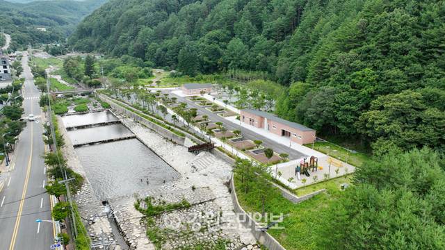 ▲ 해발 1000m 이상의 국내 최 고원지대에 형성된 삼수동 등 태백 북부권이 용연동굴·산림치유·풍력발전 등 고지대의 장점을 활용한 산악관광의 중심지로 도약하고 있다. 절골캠핑장 전경.