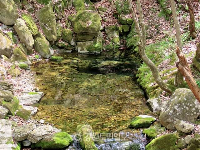 ▲ 해발 1000m 이상의 국내 최 고원지대에 형성된 삼수동 등 태백 북부권이 용연동굴·산림치유·풍력발전 등 고지대의 장점을 활용한 산악관광의 중심지로 도약하고 있다. 한강 발원지 창죽동 검룡소 모습. 전인수