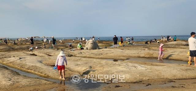 ▲ 아야진해수욕장의 모래사장 옆에는 부드럽고 낮은 바위들이 이어져 안전하게 물놀이를 즐길 수 있어 가족단위 피서객들의 발길이 이어지고 있다.