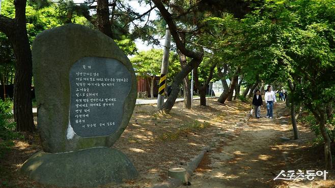 장흥 안양면 여다지 해변에 조성한 한승원 문학산책로. 장흥 출신으로 안양면에서 집필활동을 하고 있는 한승원 작가의 시비 20여개를 600여m의 길에 세웠다       장흥｜김재범 기자 oldfield@donga.com