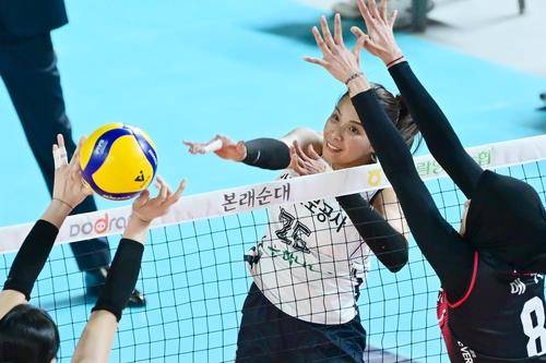 스파이크하는 도로공사의 타나차(중앙) [한국배구연맹 제공. 재판매 및 DB 금지]