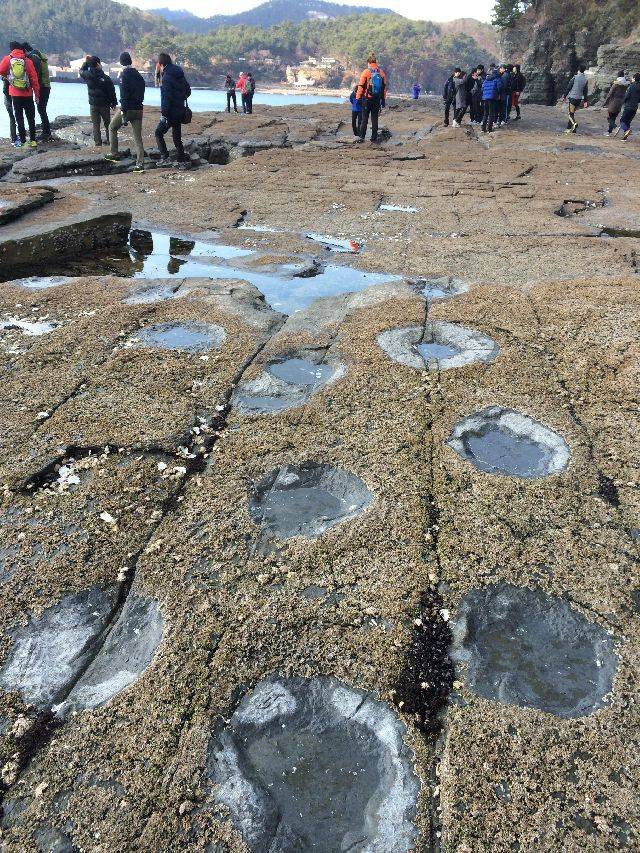 경남 고성군 상족암 주변의 공룡발자국들. 부산일보DB