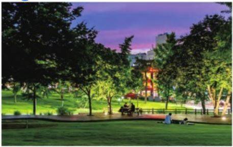 경북대는 아름다운 밤을 간직한 캠퍼스로도 유명하다. 경북대 북문의 여름 밤을 담은 풍경엽서.