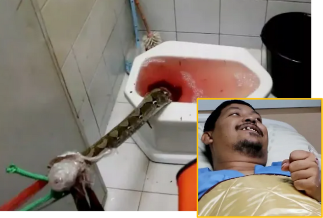 태국에서 한 남성이 화장실에서 용변을 보던 중 비단뱀에게 성기를 물려 과다출혈로 위태로운 상태에 빠졌던 사건이 보도됐다.[사진=태국 구조대 당국]