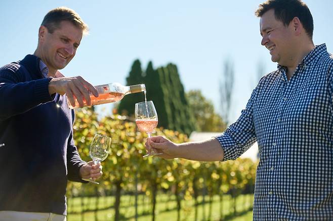 뉴사우스웨일스주 ‘서던 하일랜드’의 600m 고원 지대에 있는 와이너리 ‘밴둘리 에스테이트’에서는 서늘한 기후에서 천천히 익어가는 ‘쿨 클라이밋 와인’을 맛볼 수 있다. /밴둘리에스테이트