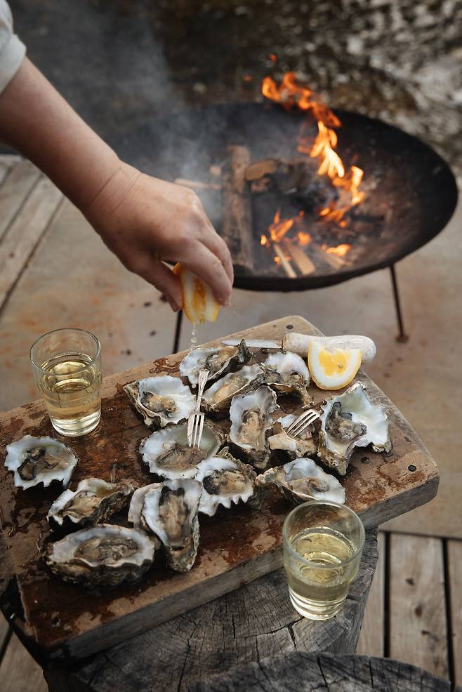 호주는 ‘청정 굴의 천국’으로 통한다. 6~8월 호주에서는 바닷물 수온이 내려가기 시작하며 굴 제철이 시작된다. 와인과 함께 먹어도 맛있고, 그냥 먹어도 맛있고, 구워 먹어도 맛있고~. /호주정부관광청