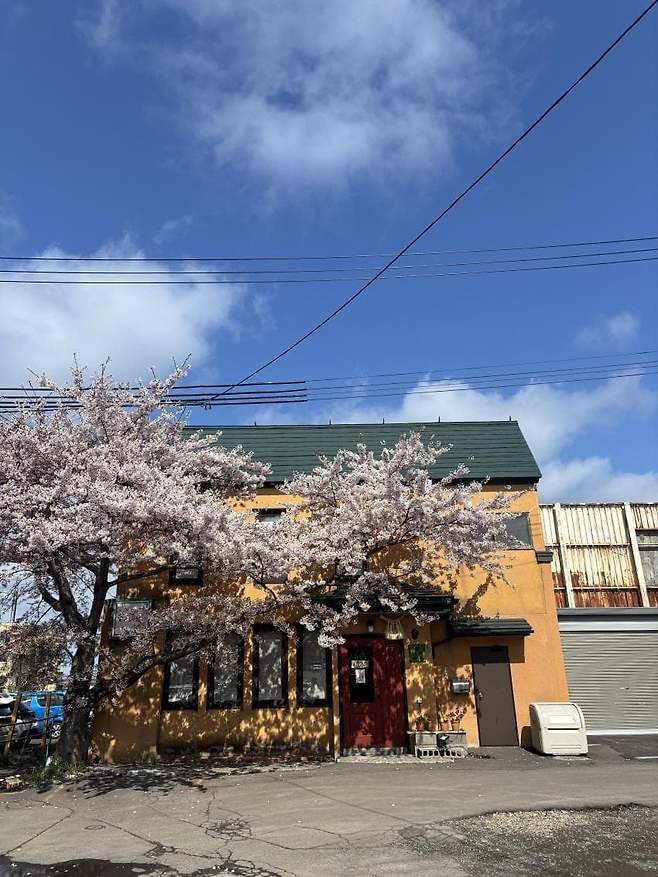 viewimage.php?id=23b2db27ebc637&no=24b0d769e1d32ca73de883fa1bd62531caf022a001a6328b8fcf4dbd347d73c7971df1f3ce48a082af40d5d024424c736756d55e336cb4d54e925bc2ca894a98d3afec