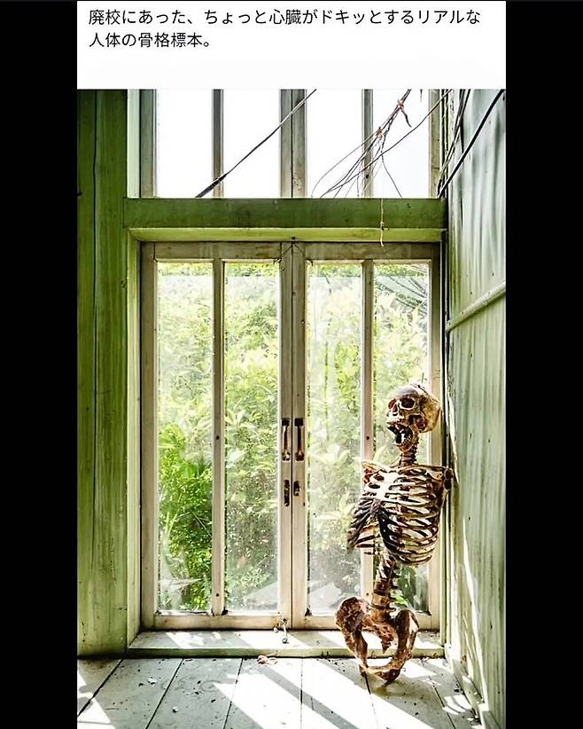 폐교에서 발견된 것