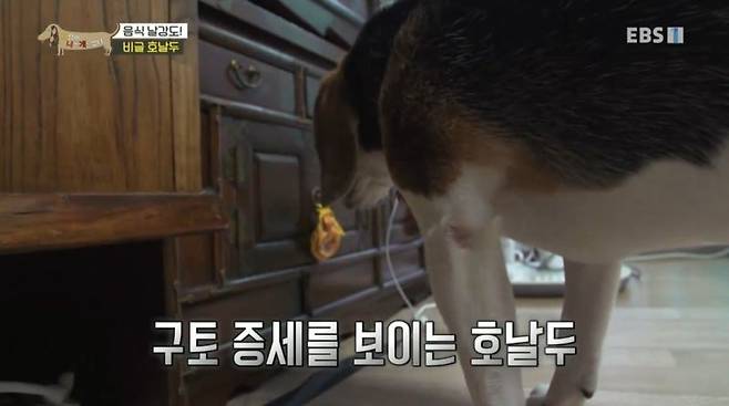 구토 증세를 보이는 호날두 구토 증세를 보이는 호날두