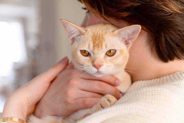 사진=클립아트코리아