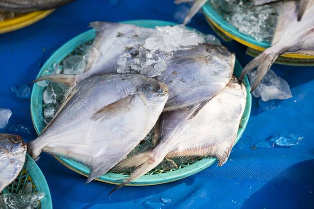 ▲ 병어 [아이클릭아트 자료사진]