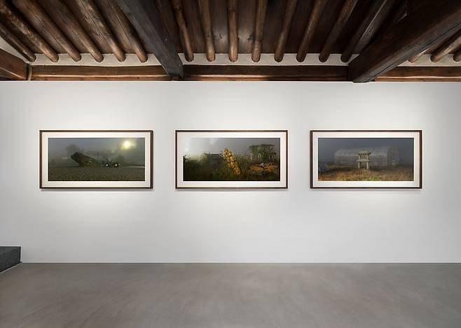 インターナショナルギャラリーハノク「ファー今日」展。写真=インターナショナルギャラリーが提供しています。 *再販およびDB禁止