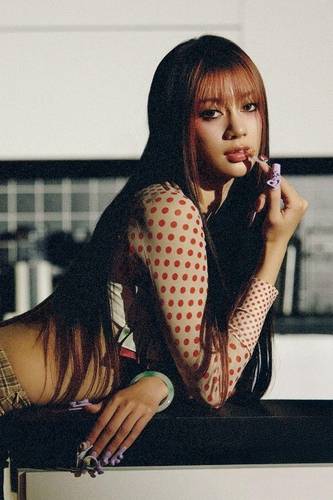 출처=캣츠아이 홈페이지